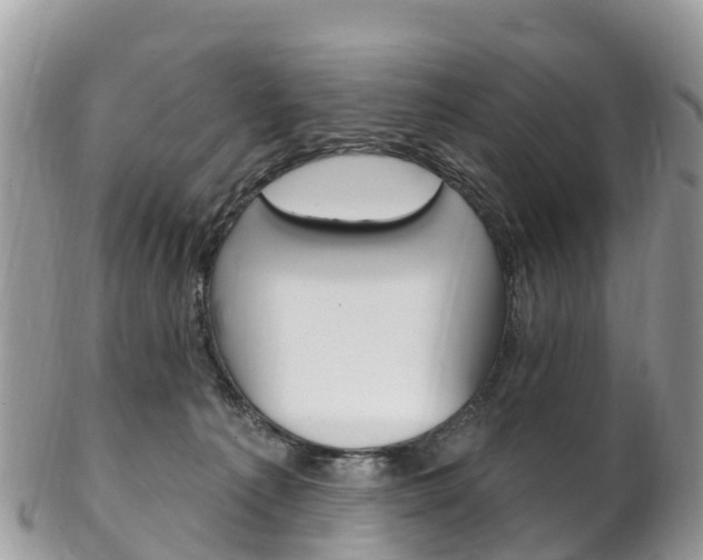 X0000102790225200808181001