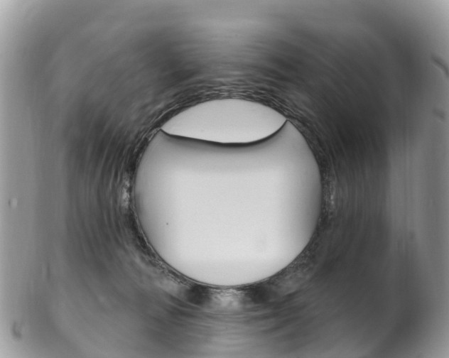 X0000102790226200808181001