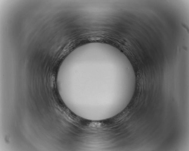 X0000102790227200808181001