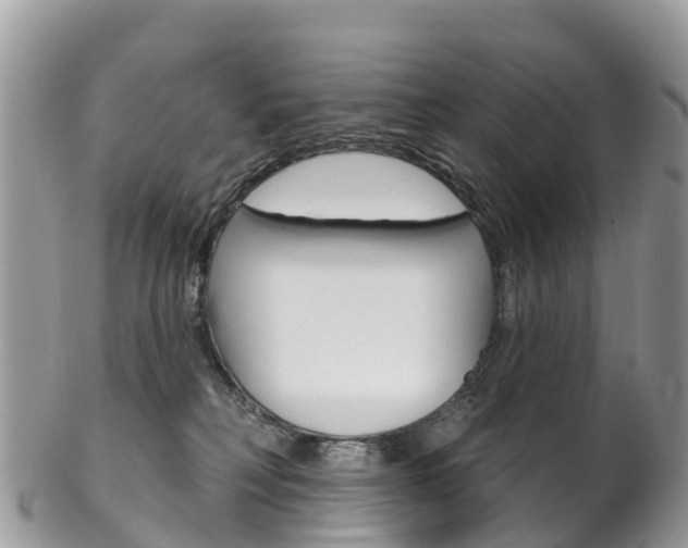 X0000102790230200808181000