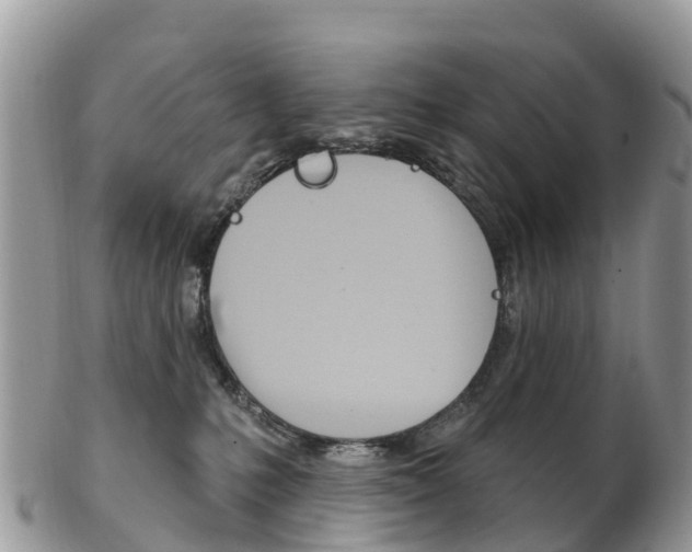 X0000102790231200808181000