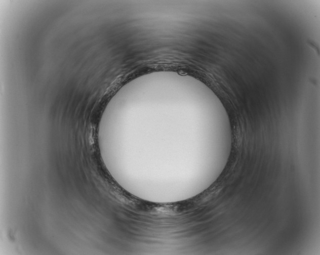 X0000102790232200808181000