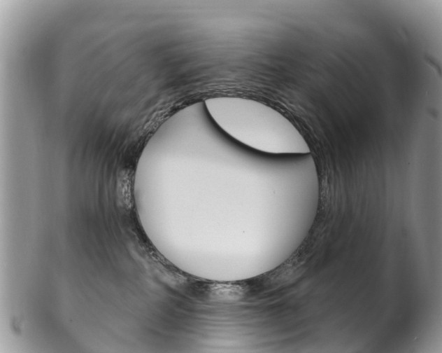 X0000102790234200808181000