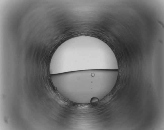 X0000102790235200808181000