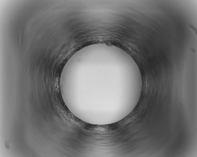 X0000102790236200808181000