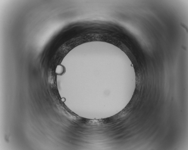 X0000102790239200808181000