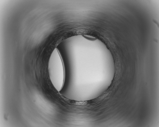 X0000102790240200808181000