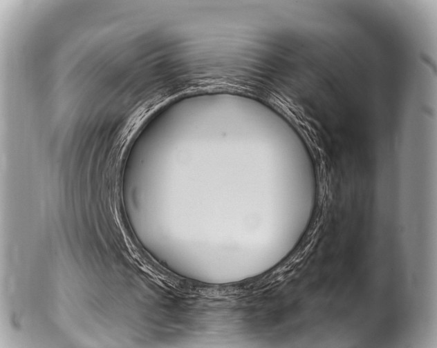 X0000102790241200808181000