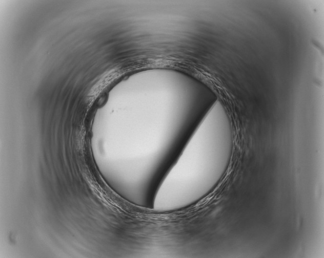 X0000102790242200808181000