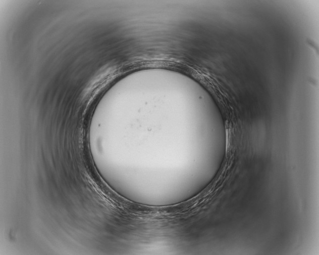 X0000102790243200808181000