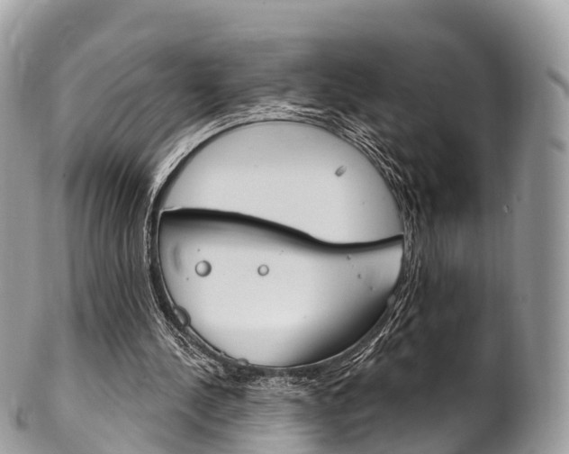 X0000102790244200808181000
