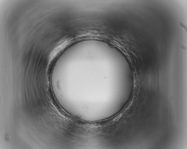 X0000102790245200808181000