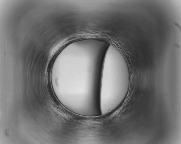 X0000102790246200808181000