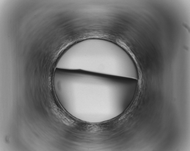 X0000102790249200808181000