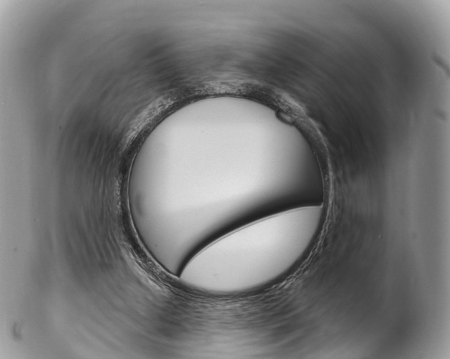X0000102790250200808181000