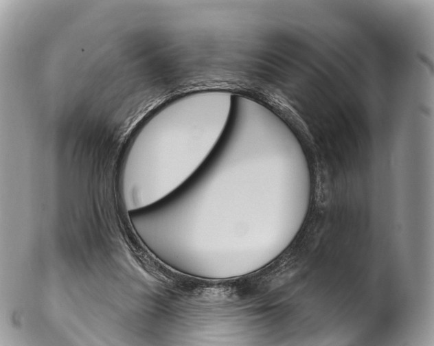 X0000102790251200808181000