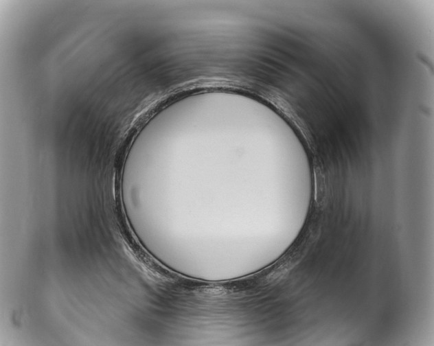 X0000102790253200808181000