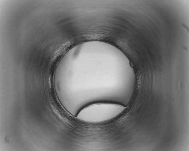X0000102790254200808181000
