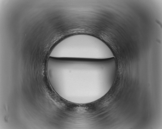 X0000102790255200808181000
