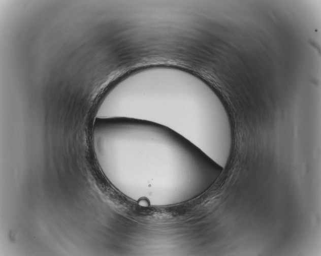 X0000102790256200808181000