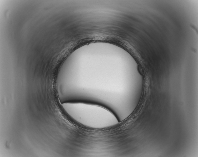 X0000102790257200808181000