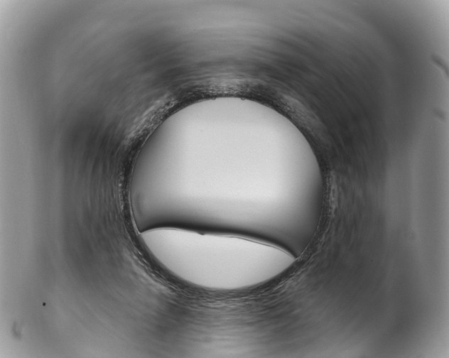 X0000102790258200808181000