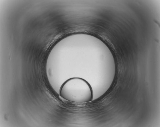 X0000102790260200808181000