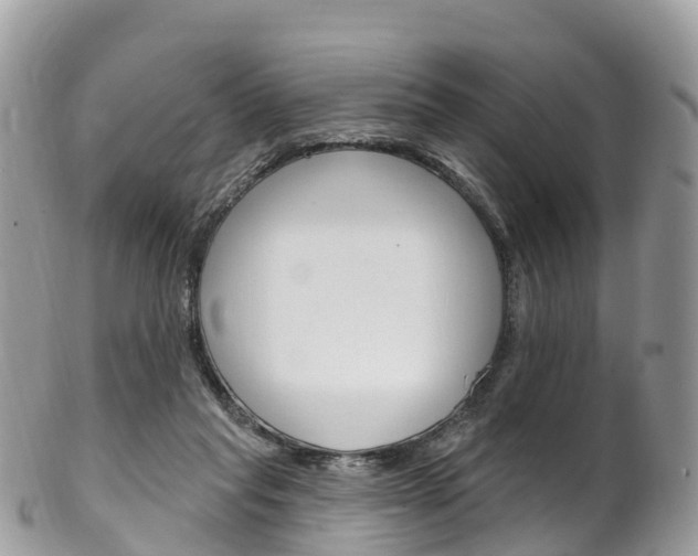 X0000102790261200808181000
