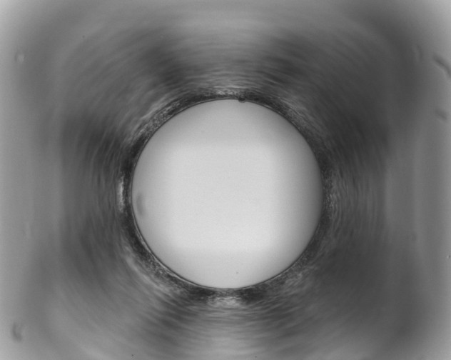 X0000102790262200808181000