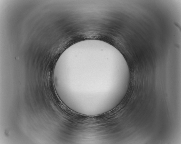 X0000102790263200808181000