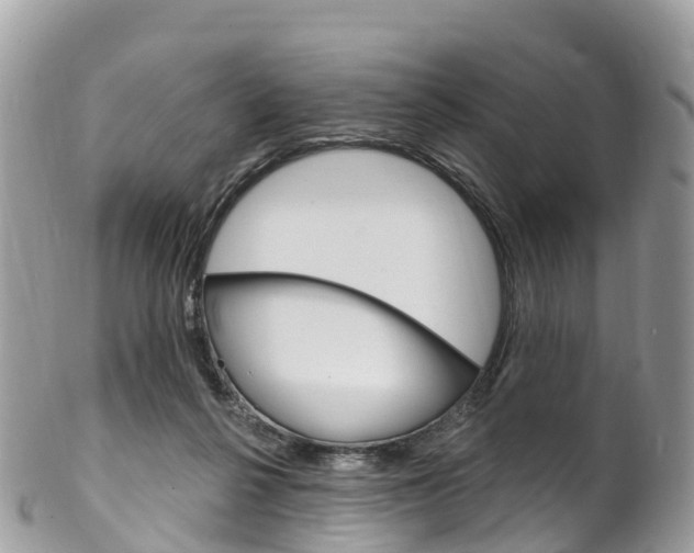 X0000102790264200808181000