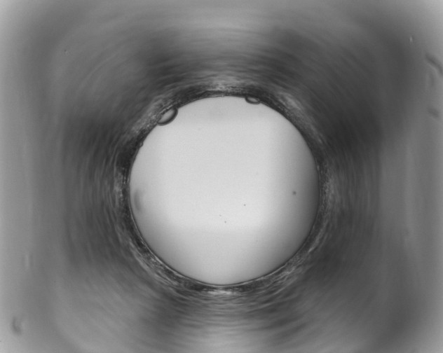X0000102790265200808181000