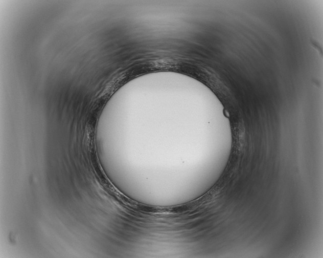 X0000102790266200808181000