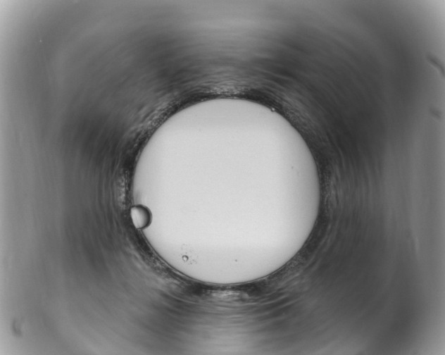 X0000102790268200808181000