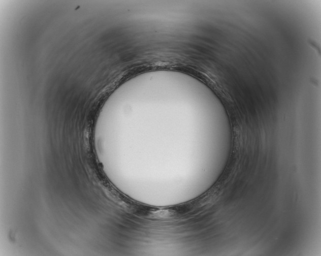 X0000102790269200808181000