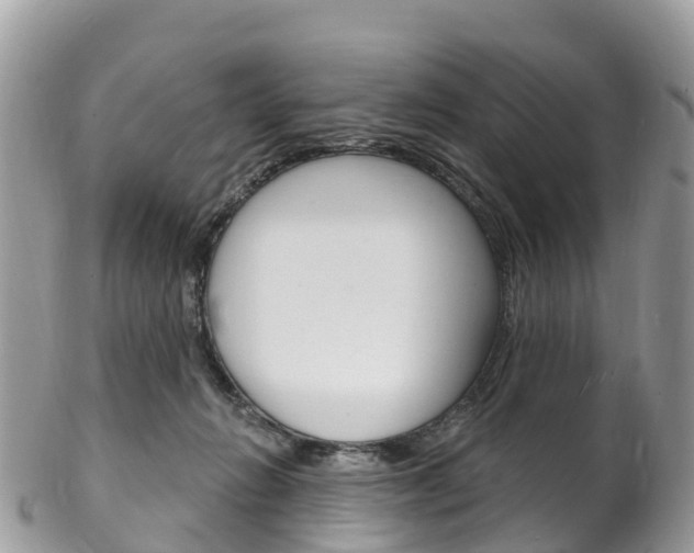 X0000102790270200808181000