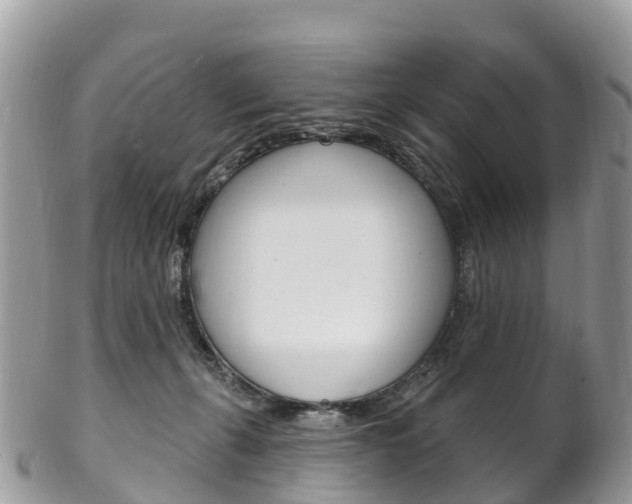 X0000102790271200808181000