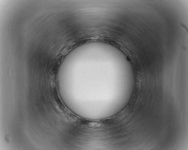 X0000102790272200808181000