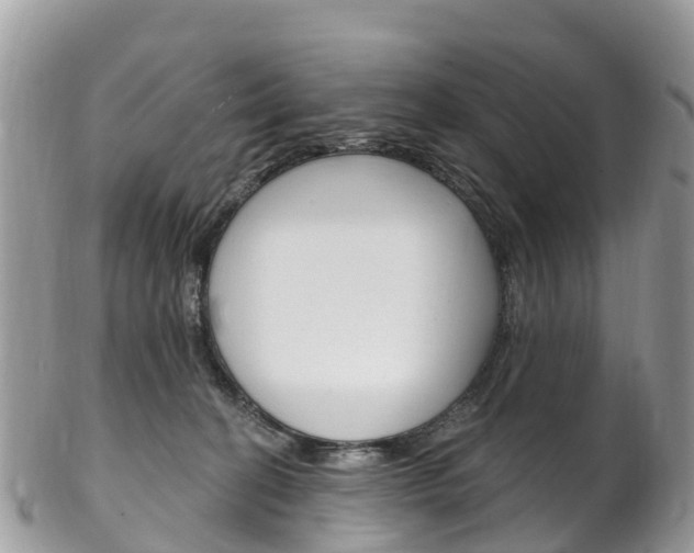 X0000102790274200808181000