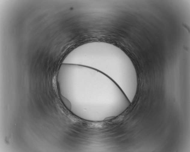 X0000102790276200808181000