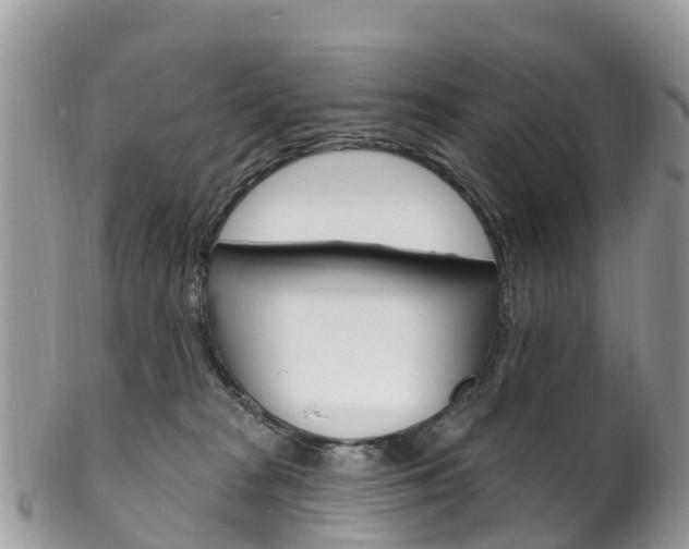 X0000102790277200808181000