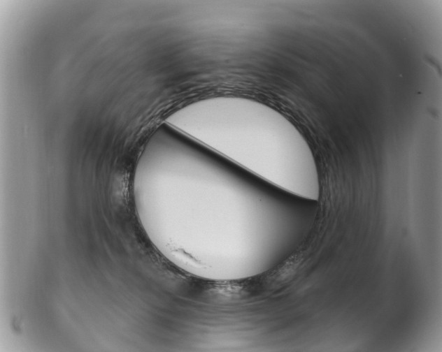 X0000102790278200808181000