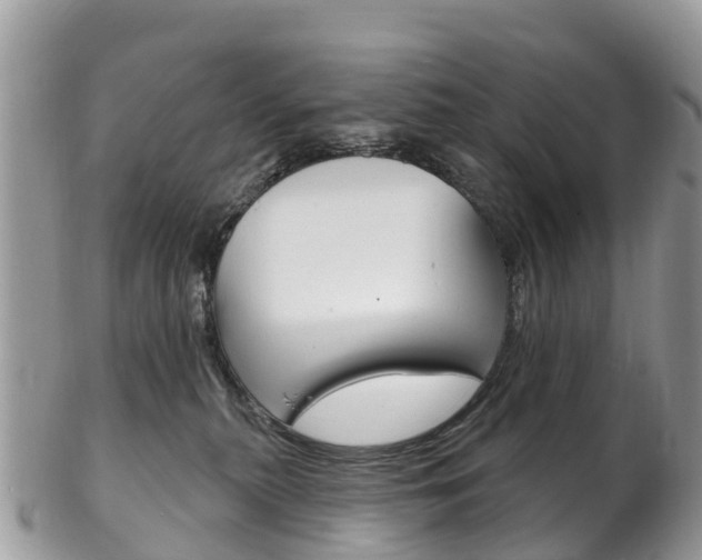 X0000102790279200808181000