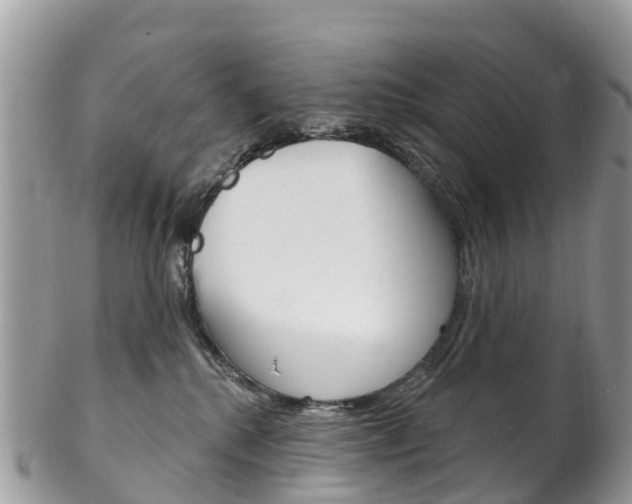 X0000102790280200808181000