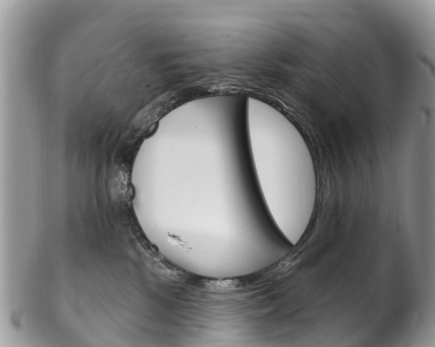 X0000102790281200808181000