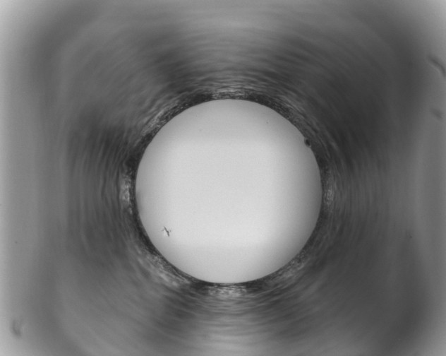 X0000102790282200808181000