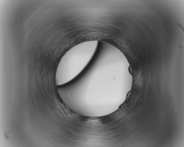 X0000102790283200808181000