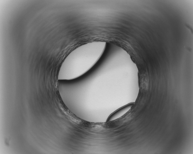 X0000102790285200808181000