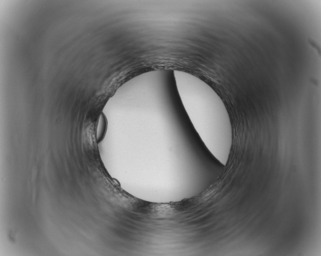 X0000102790287200808181000