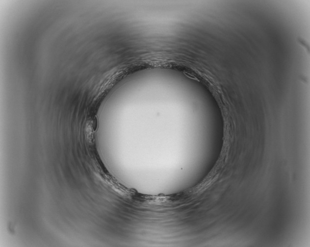 X0000102790288200808181000